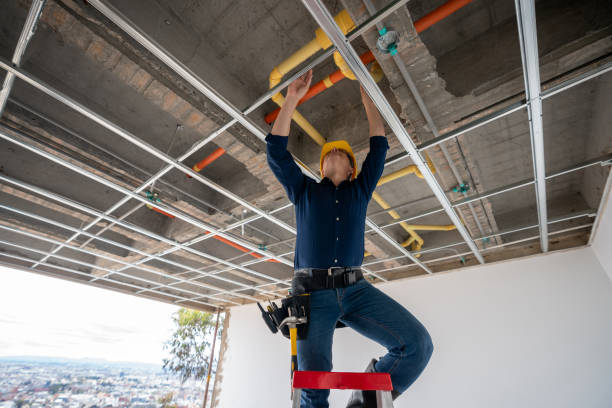 Best Local Plumber Services  in Blaine, MN